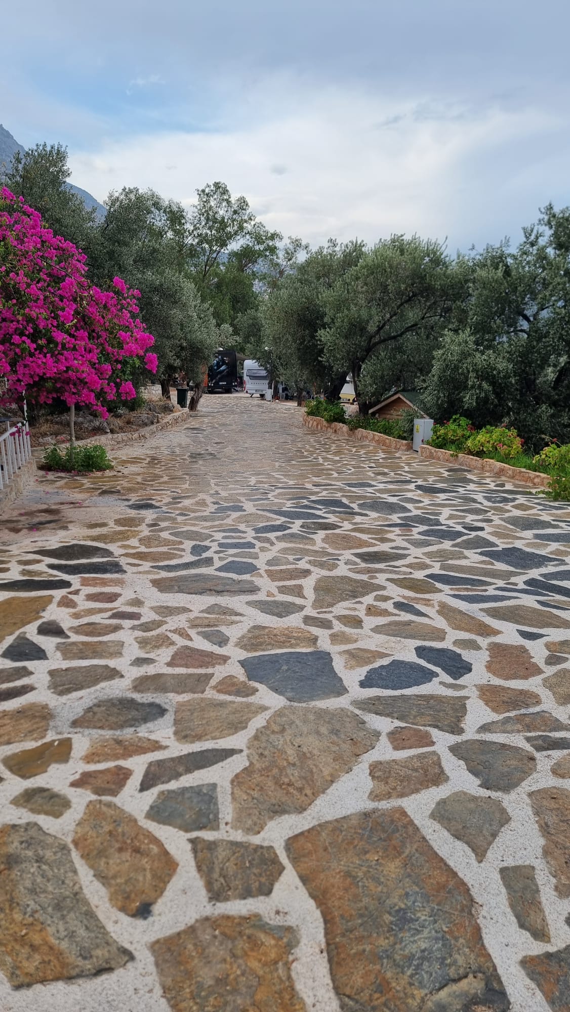 Tezal Taş Dekorasyon